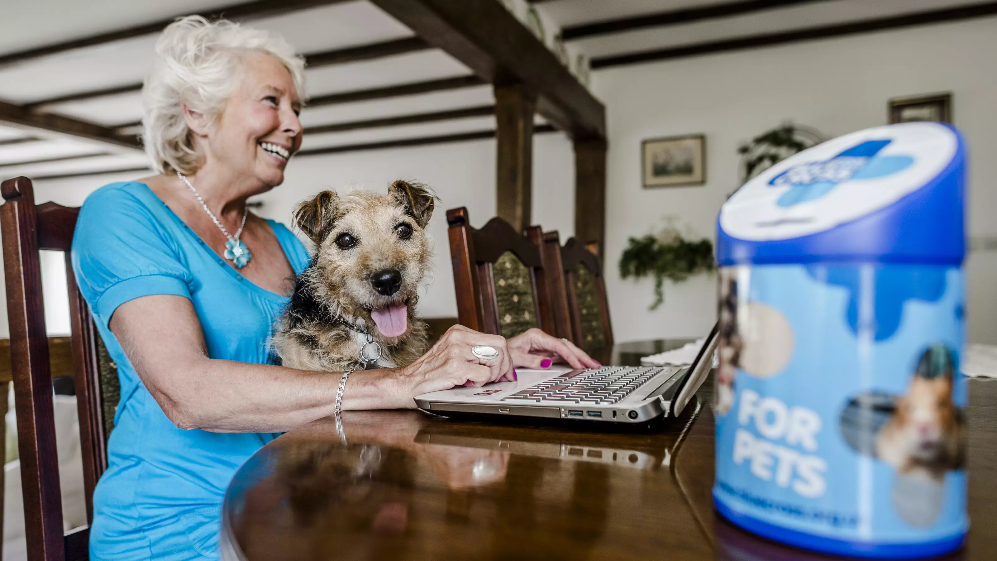 Photo of volunteer Jo Savage sitting at her computer with her terrier cross Riley and a 