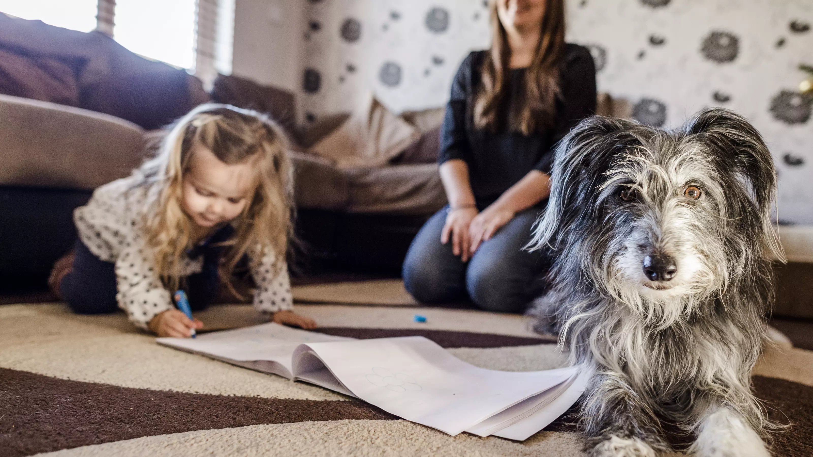 dog and visiting child - top image