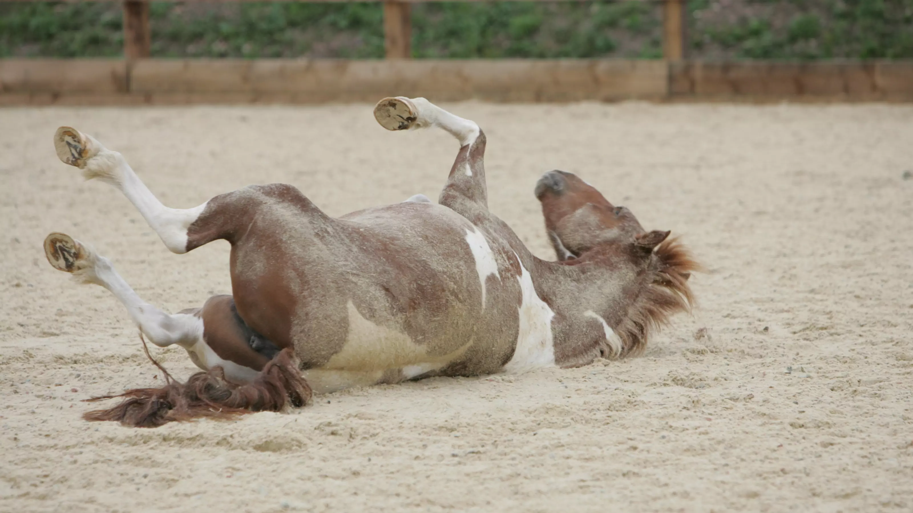 Colic prevention and management