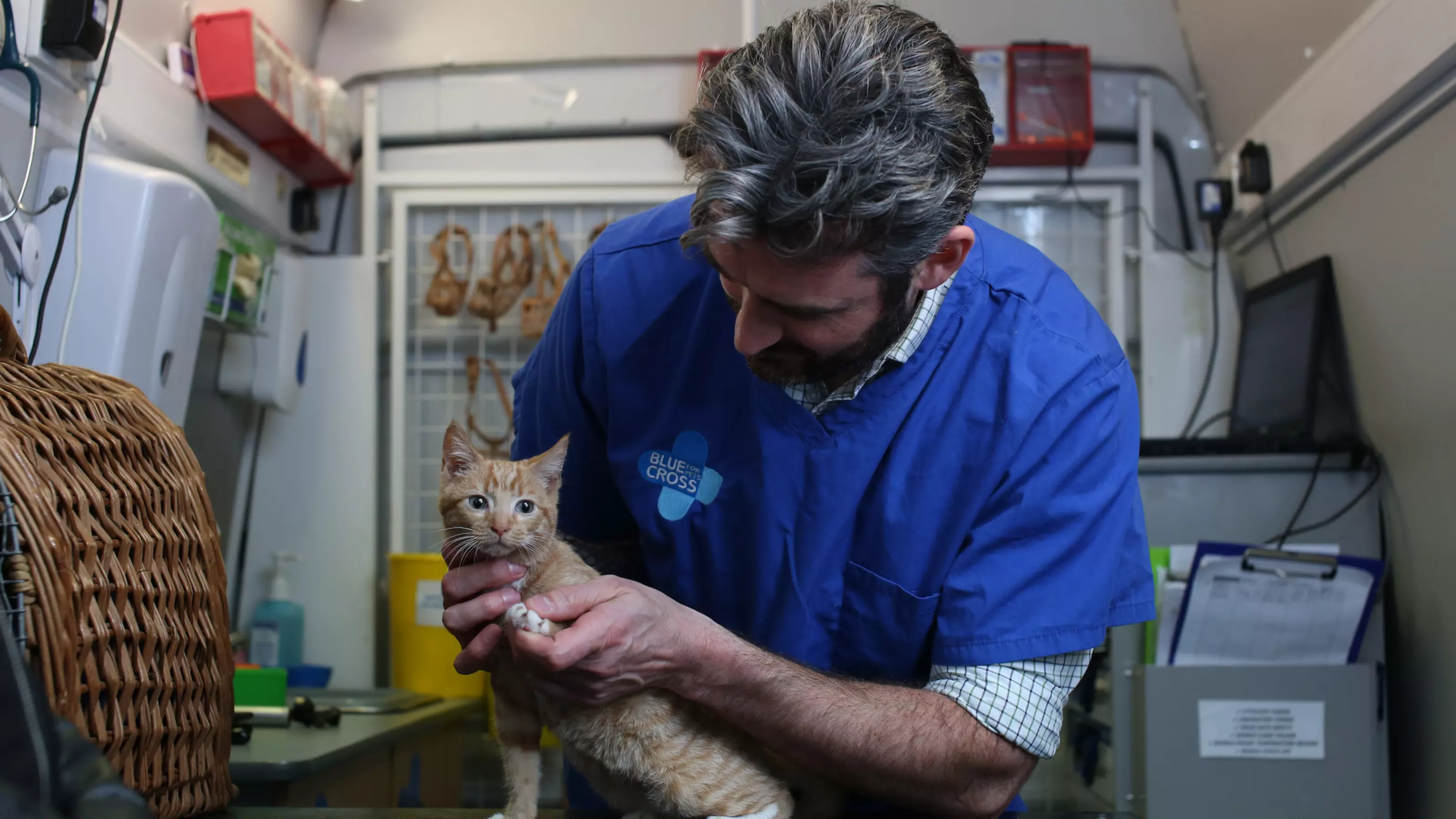 Kitten Ginger Biscuit at the Blue Cross mobile clinic in Islington