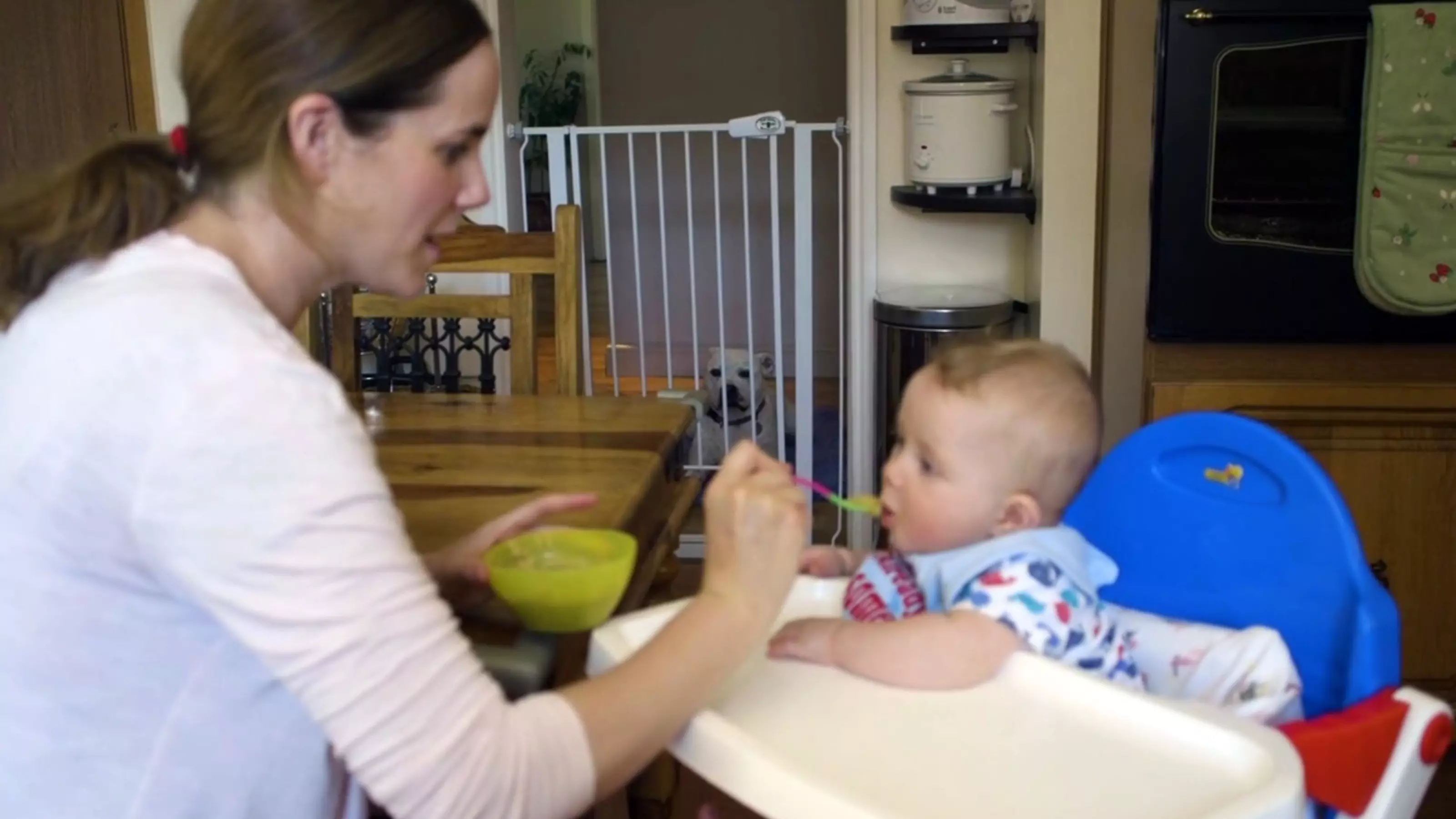 Dog and child separate at meal times