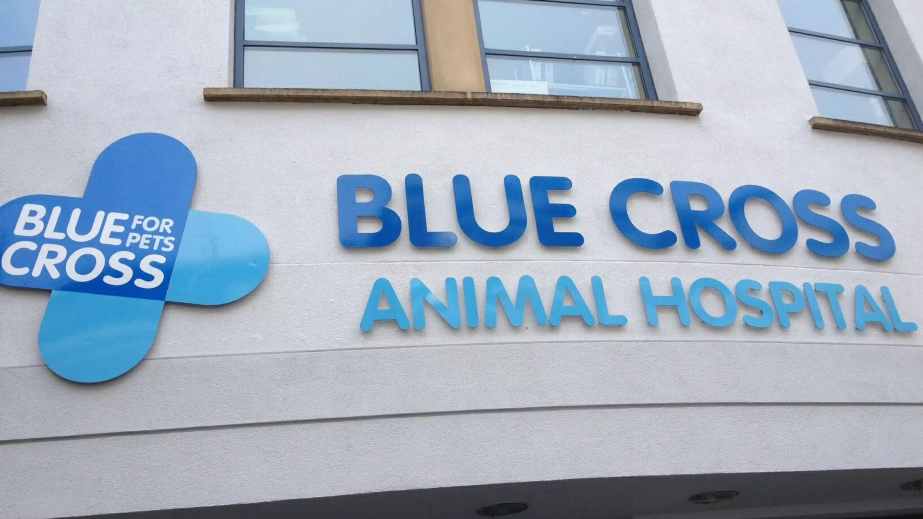 Blue Cross London Victoria Hospital