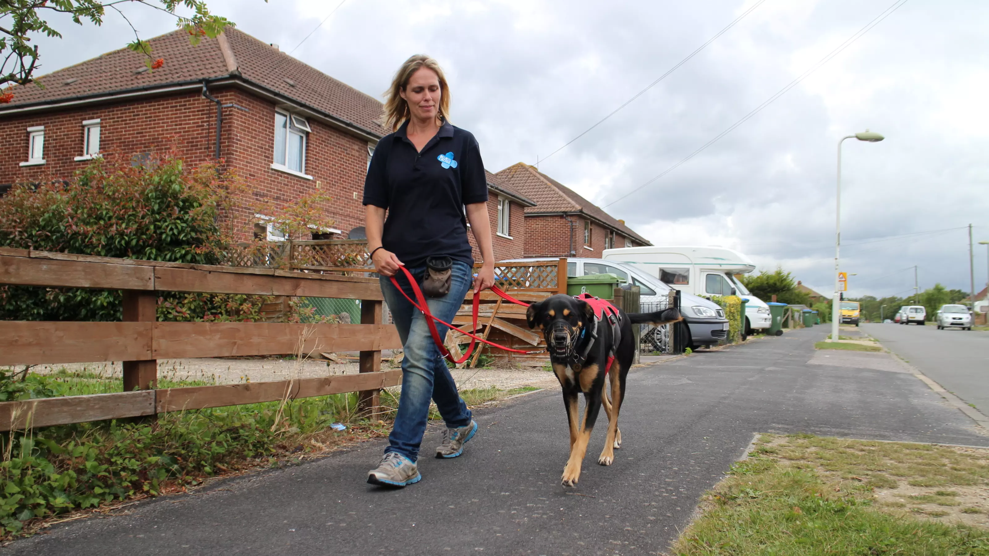 pulling on a lead - image 3