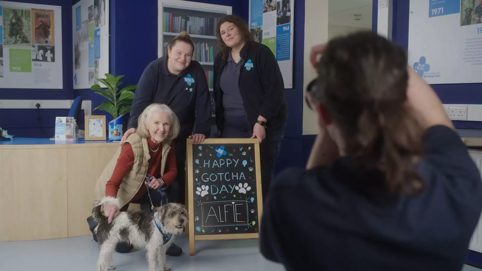 Fidget on TV set in front of sign celebrating his gotcha day with Blue Cross members of staff in uniform