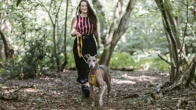 Flynn walking through a woodland with owner Jade