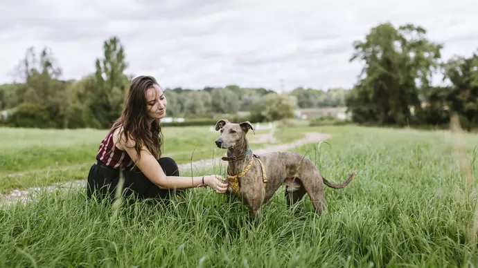 Flynn and Jade in a field on a walk through the countryside