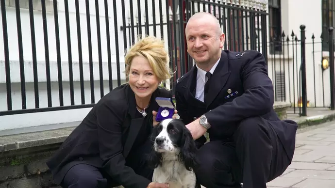 Dog receiving an award
