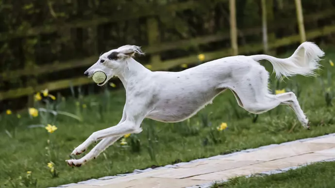 Kadie running with a ball 