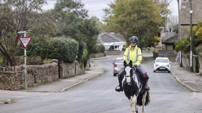 Black and white horse trots down village road with owner