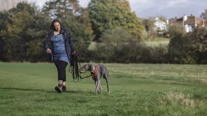 Bleu and Amy out walking in the field near their home