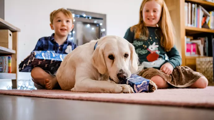 Amber opening a Christmas present with Laurence and Sophie excitedly looking on in background