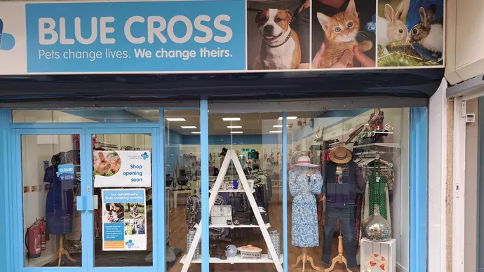 Dudley Blue Cross charity shop shop front with window displays and blue and white signage