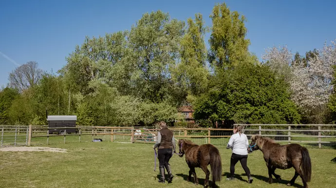 Treacle and Candy led out to a field by Joanna and Jenny