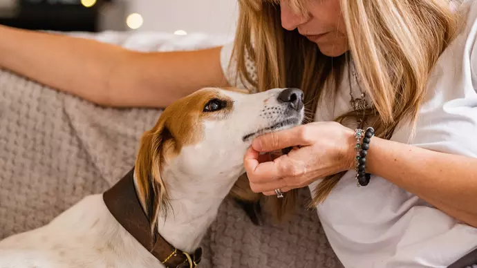Lilly having a chin stratch from new owner 