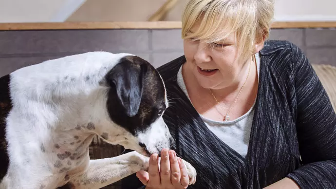 Black and white dog, Hunter, gives owner, Rachel, his paw