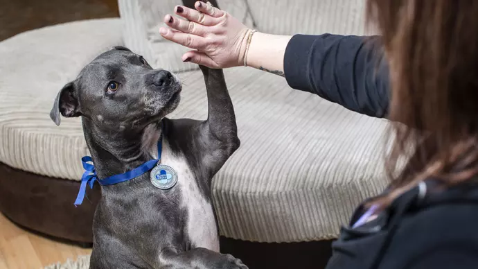 Romeo gives Steph a high five