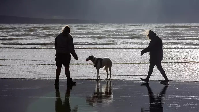 Vader with Tracey and Mark on the beach
