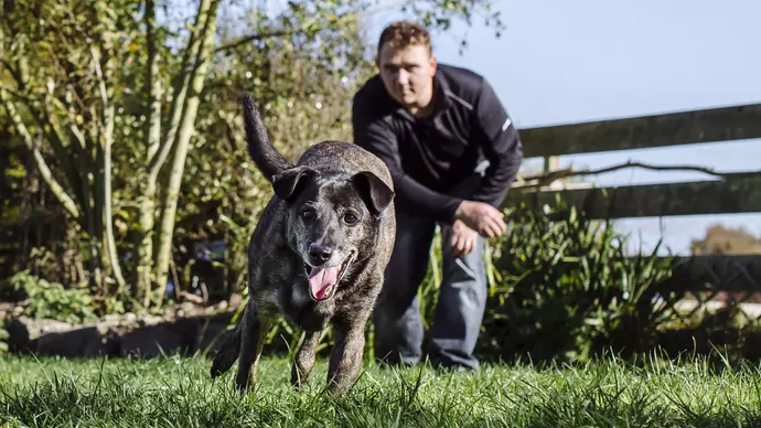 Terry throws a ball for Jack out in his garden