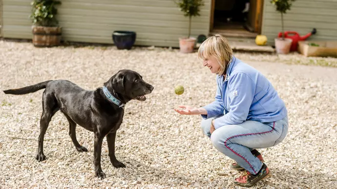 Jake playing ball with his new owner