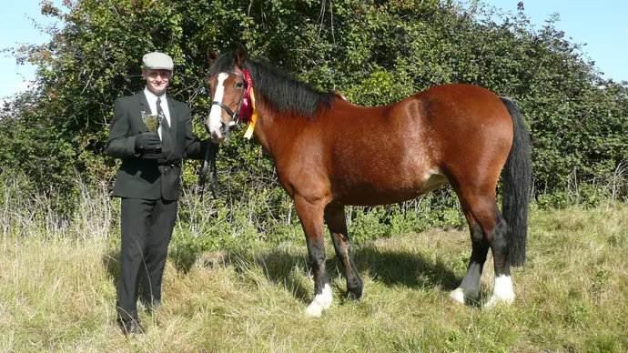 Blue Cross Cleo with her owner David