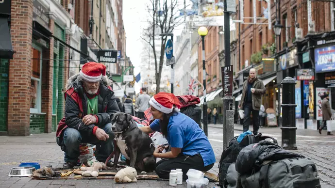 Street vet top image