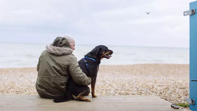 Kaiser and Ross looking out to sea from their beach hut