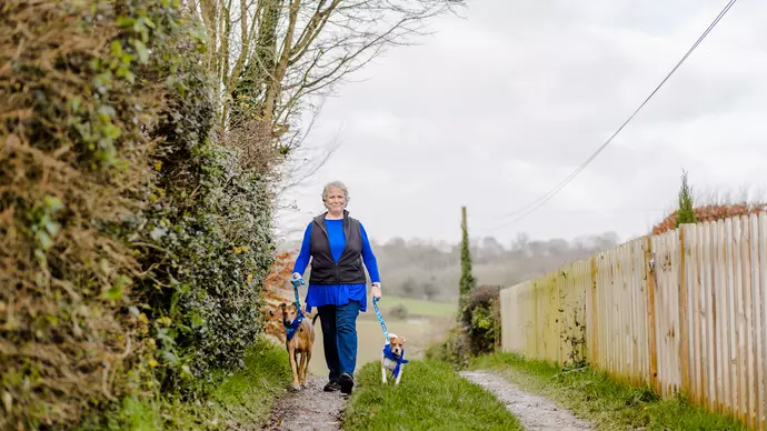 Pam Ferris walking dogs