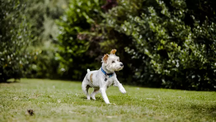 Flora playing out in her garden