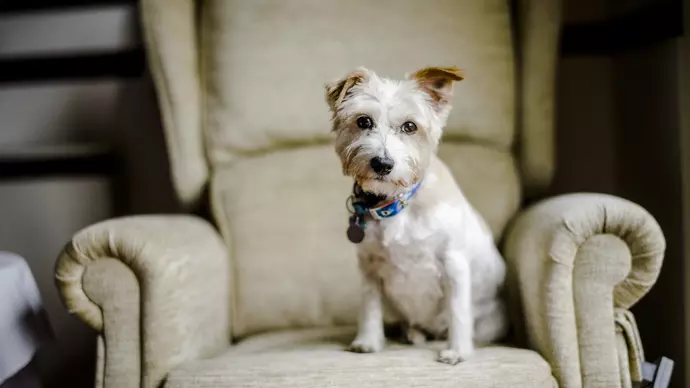 Flora sits on an armchair in her home