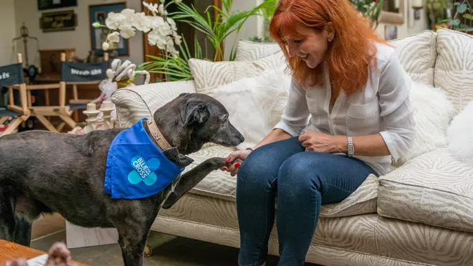 Spike gives owner Kate his paw