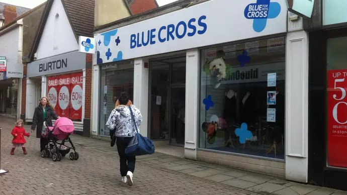 Blue Cross Andover Shop