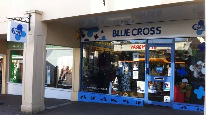Blue Cross Frome Charity Shop