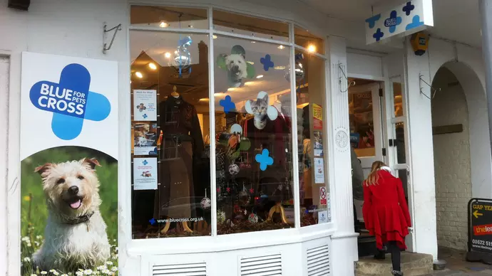 Blue Cross Marlborough Charity Shop
