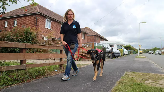 pulling on a lead - image 3