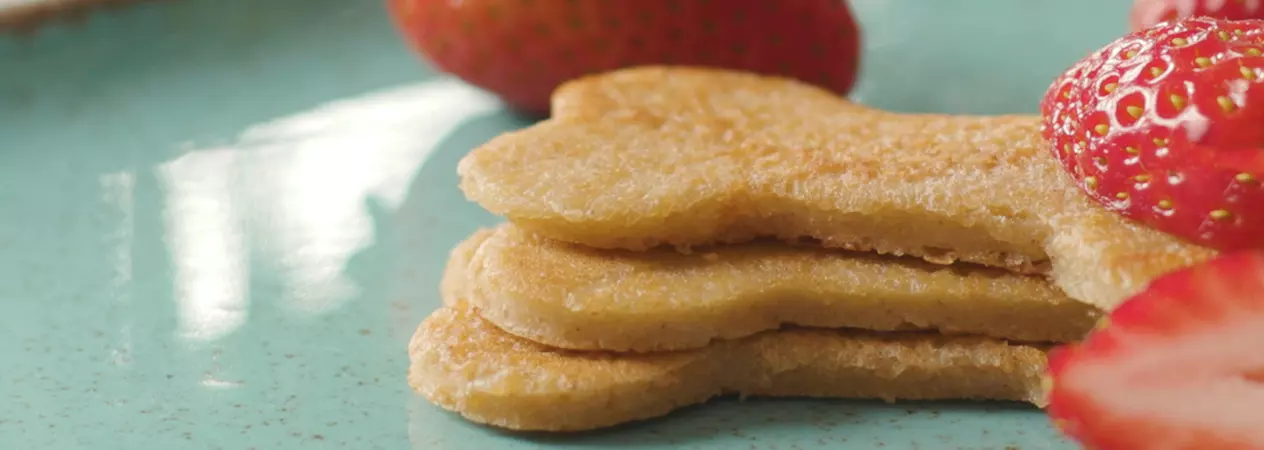 Close-up of dog-friendly pancakes