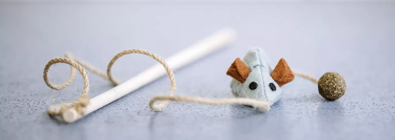 Cat toy - Fishing rod