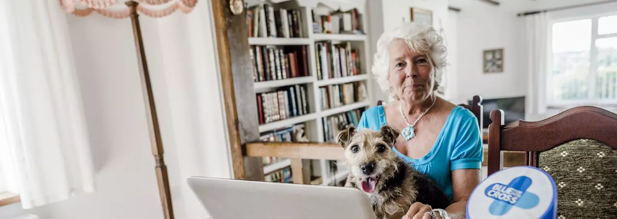 Female fundraiser with dog and laptop