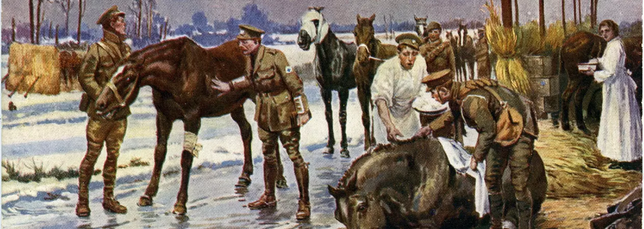 Image shows a painting by Fortunino Matania depicting a Blue Cross field hospital for horses injured in the First World War battlefields