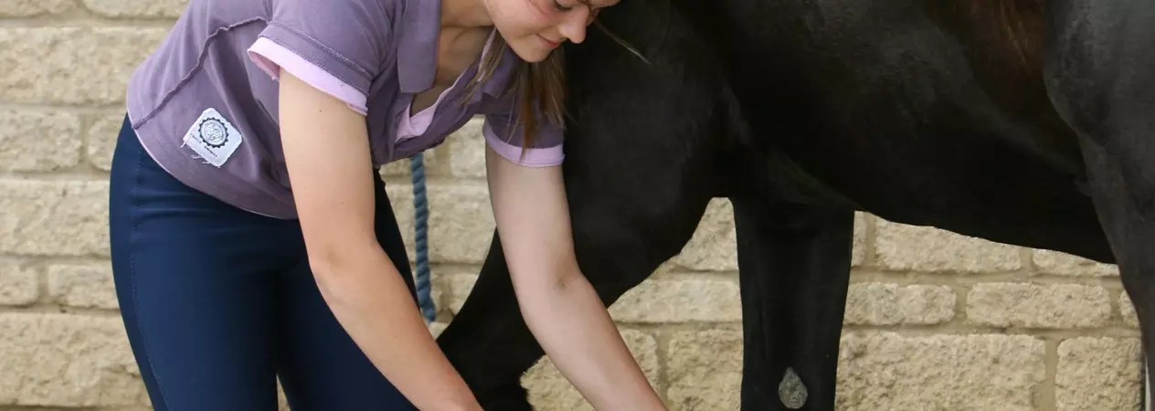 Woman picking horse's hoof