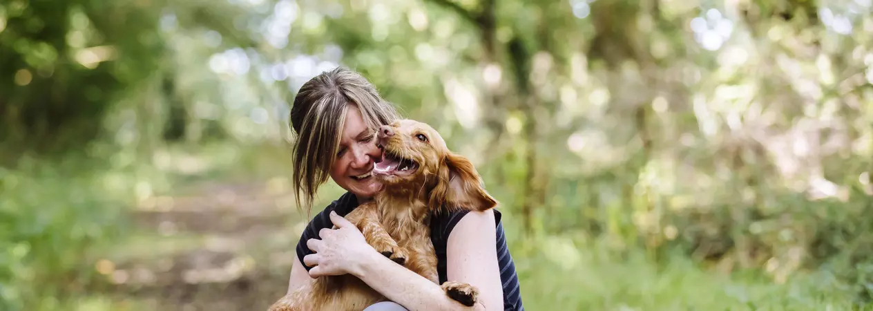 Cocker spaniel with owner on walk