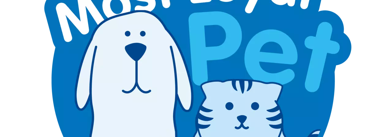 An illustration of a dog and cat with text 'Wales' Most Loyal Pet'