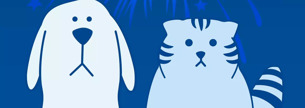 Cat and dog with firework illustration