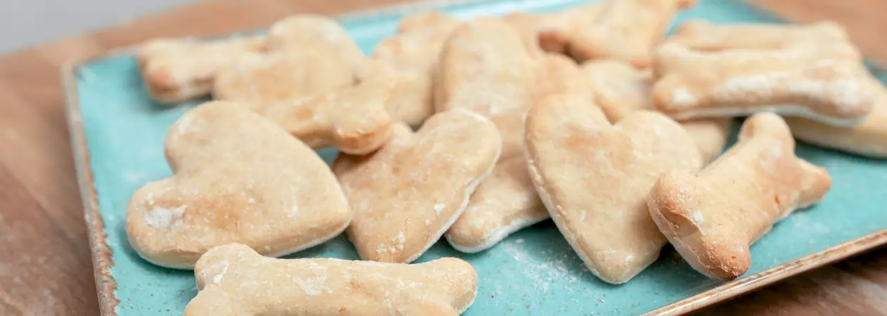 Bone and heart shaped dog biscuits on a light blue plate