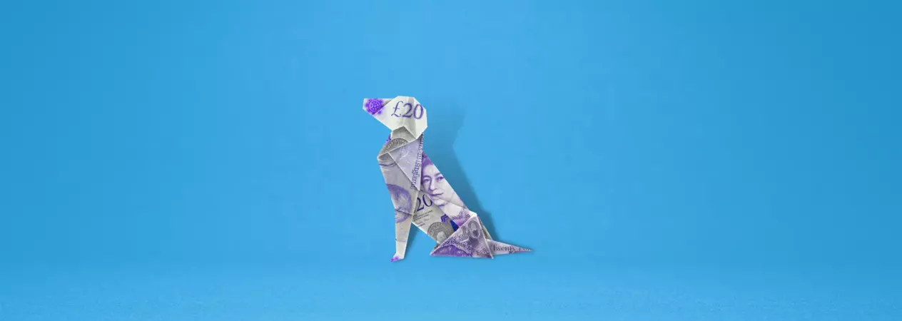 £20 note shaped into an origami dog