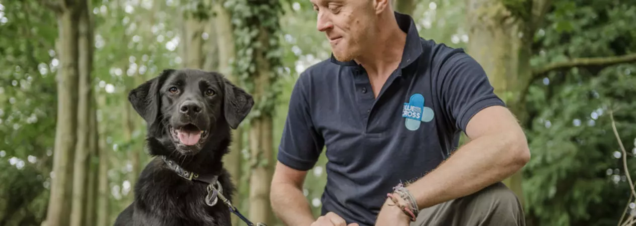 Black dog looking at the camera in woodland area, with a Blue Cross member of staff