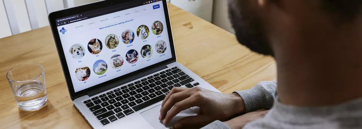 Man looking at our pet advice webpages on a laptop