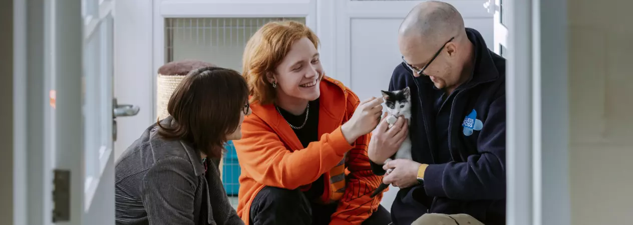 Boy strokes kitten in Blue Cross employee's arms