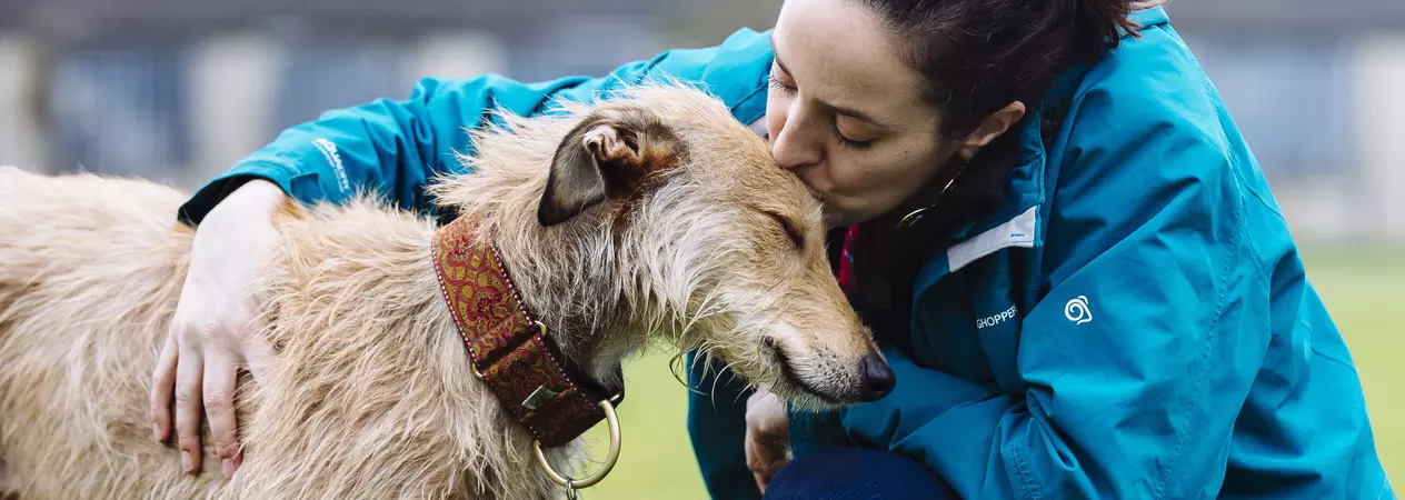 Bromley the dog with owner