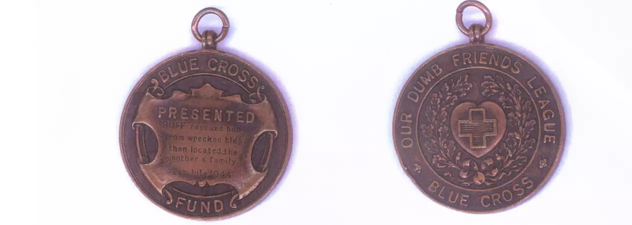A bronze medal on white background