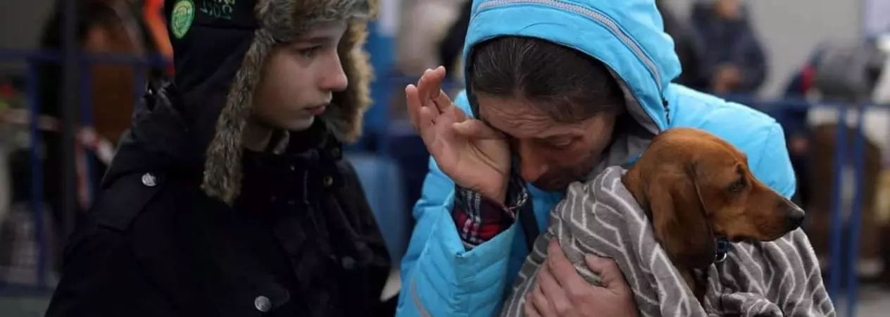 Odessa's owner, wearing a blue jacket, holds Odessa in a blanket with her son comforting her